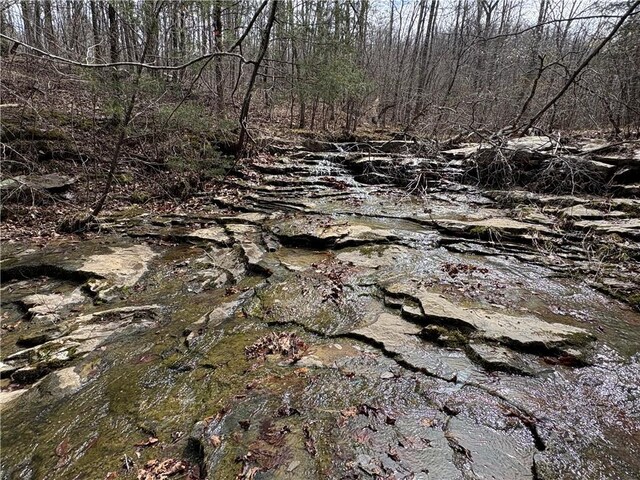Holly Mountain Rd, Clinton, AR 72031 - photo 12