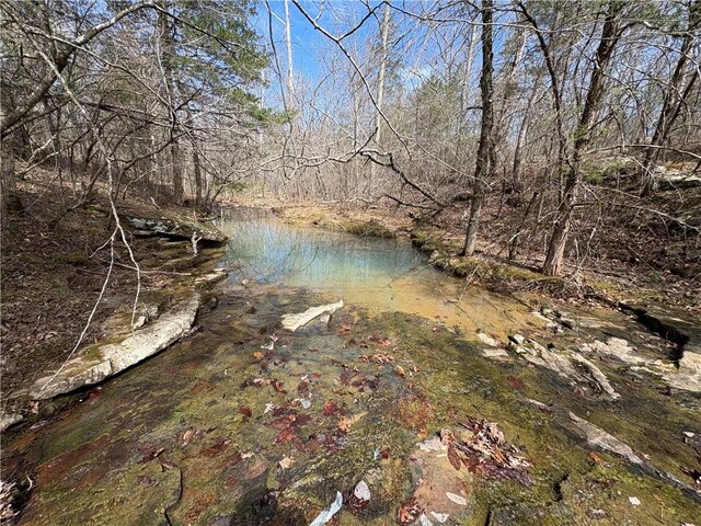Holly Mountain Rd, Clinton, AR 72031 - photo 13