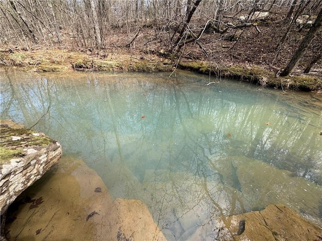 Holly Mountain Rd, Clinton, AR 72031 - photo 14