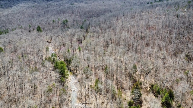 Holly Mountain Rd, Clinton, AR 72031 - photo 15