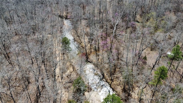 Holly Mountain Rd, Clinton, AR 72031 - photo 16