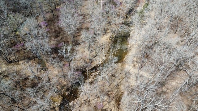 Holly Mountain Rd, Clinton, AR 72031 - photo 17