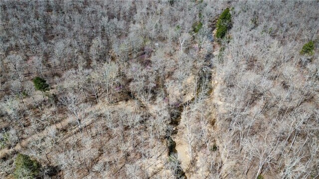 Holly Mountain Rd, Clinton, AR 72031 - photo 20