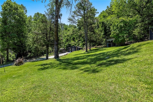 19051 Pinecrest Ln, Rogers, AR 72756 - view of green lawn