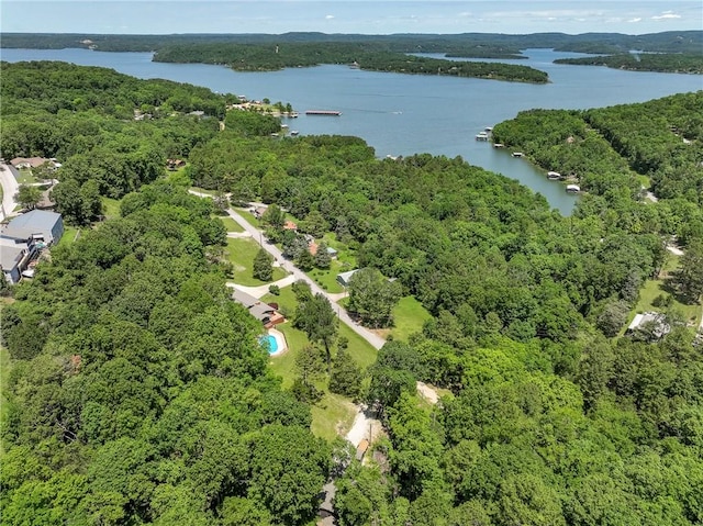 19051 Pinecrest Ln, Rogers, AR 72756 - aerial view of a heavily wooded area and a nearby body of water