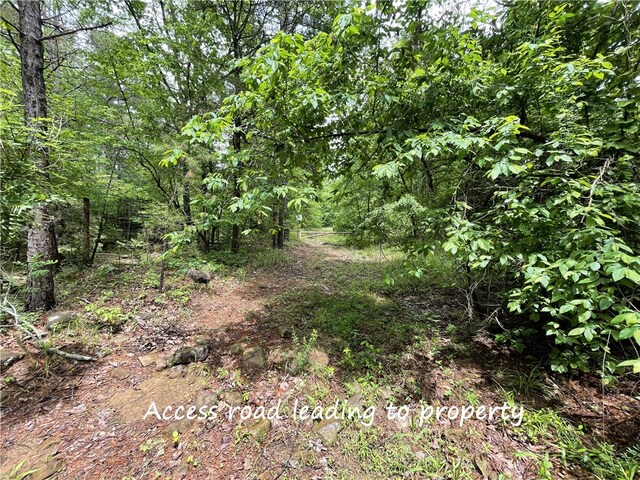 8.23ACRES Pool Hollow Rd, Dardanelle, AR 72834