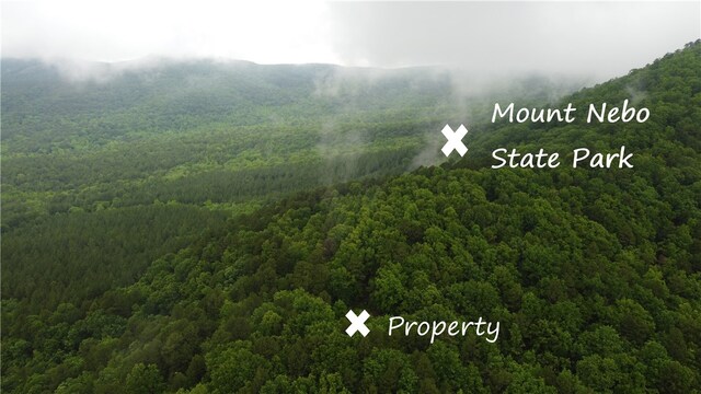 8.23ACRES Pool Hollow Rd, Dardanelle, AR 72834