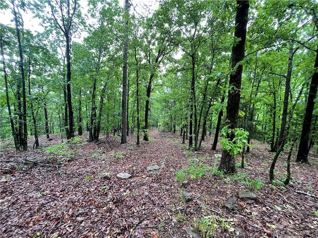 8.23ACRES Pool Hollow Rd, Dardanelle, AR 72834