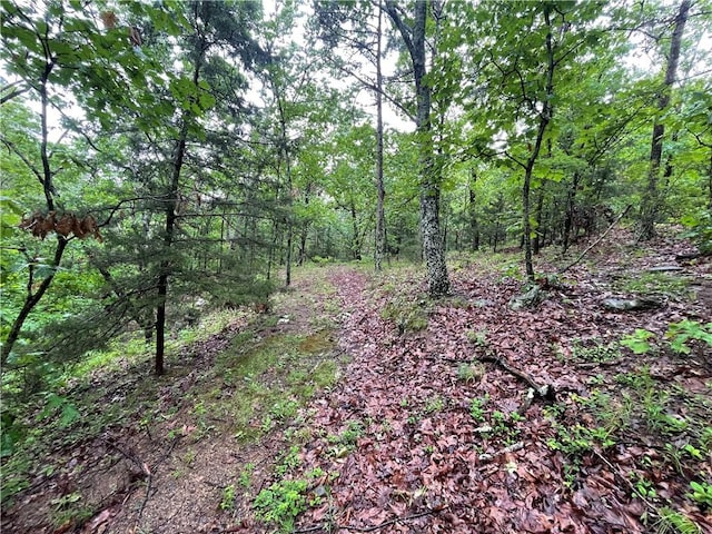 8.23ACRES Pool Hollow Rd, Dardanelle, AR 72834