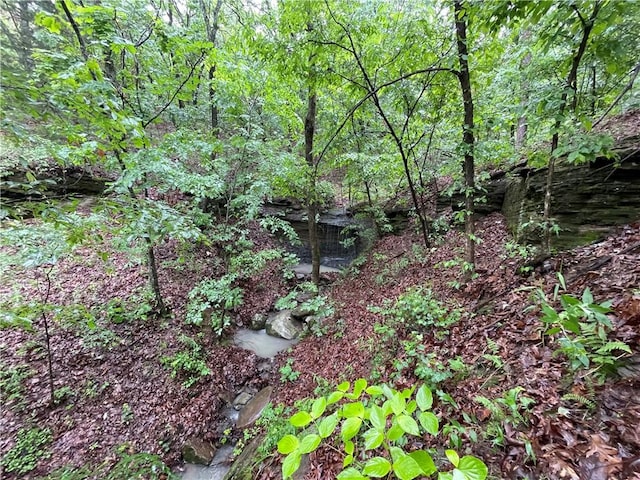 8.23ACRES Pool Hollow Rd, Dardanelle, AR 72834