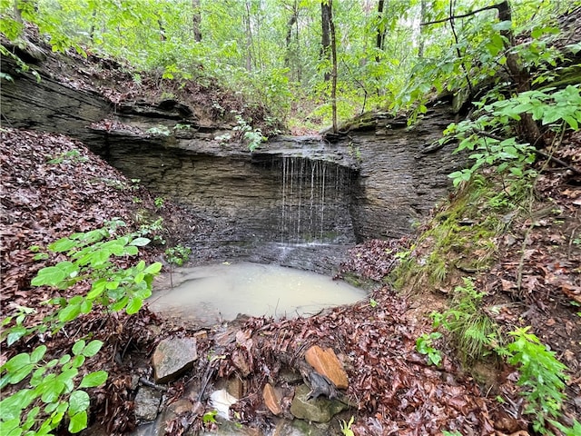 8.23ACRES Pool Hollow Rd, Dardanelle, AR 72834