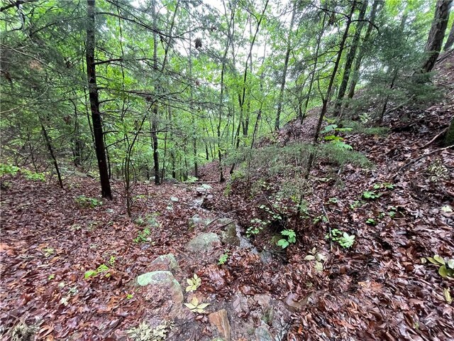 8.23ACRES Pool Hollow Rd, Dardanelle, AR 72834