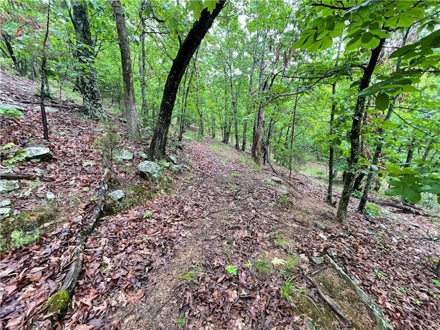 8.23ACRES Pool Hollow Rd, Dardanelle, AR 72834