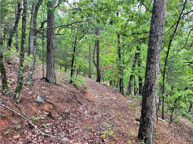8.23ACRES Pool Hollow Rd, Dardanelle, AR 72834