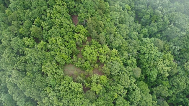 8.23ACRES Pool Hollow Rd, Dardanelle, AR 72834