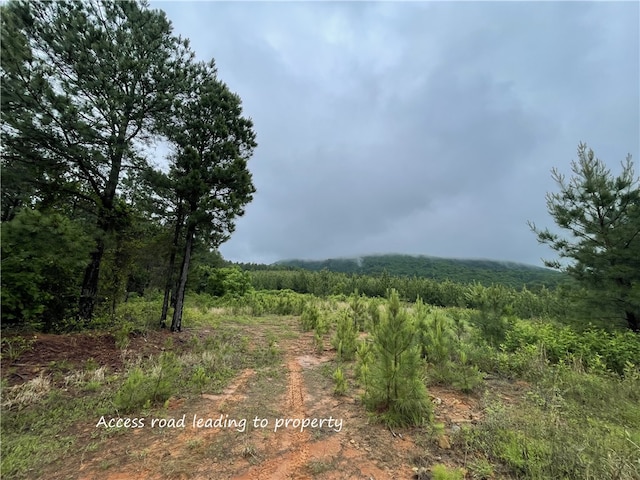 8.23ACRES Pool Hollow Rd, Dardanelle, AR 72834