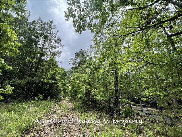 8.23ACRES Pool Hollow Rd, Dardanelle, AR 72834