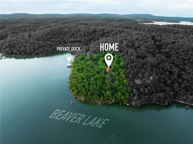 9151 Bay Ridge Ln, Garfield, AR 72732 - bird's eye view of a forest and a large body of water