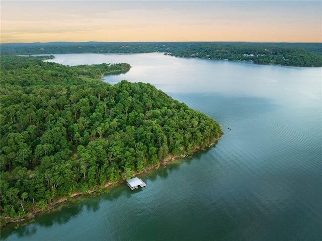 9151 Bay Ridge Ln, Garfield, AR 72732 - drone / aerial view of a large body of water and a forest