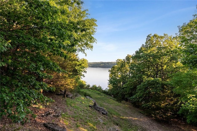 9151 Bay Ridge Ln, Garfield, AR 72732 - water view