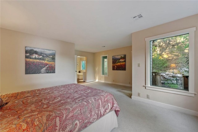 9151 Bay Ridge Ln, Garfield, AR 72732 - carpeted bedroom with multiple windows and baseboards