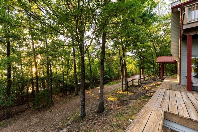 9151 Bay Ridge Ln, Garfield, AR 72732 - view of yard