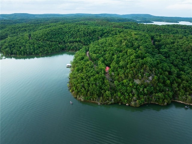 9151 Bay Ridge Ln, Garfield, AR 72732 - bird's eye view of a heavily wooded area and a nearby body of water