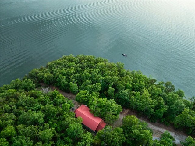 9151 Bay Ridge Ln, Garfield, AR 72732 - aerial view of a large body of water