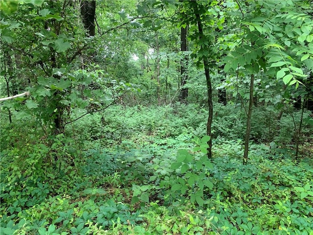 LOT14 Millsap Cir, Bella Vista, AR 72715