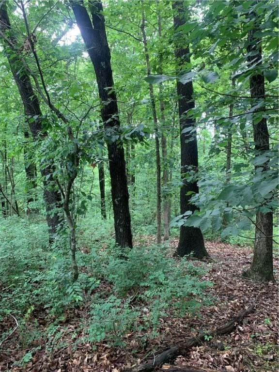LOT14 Millsap Cir, Bella Vista, AR 72715