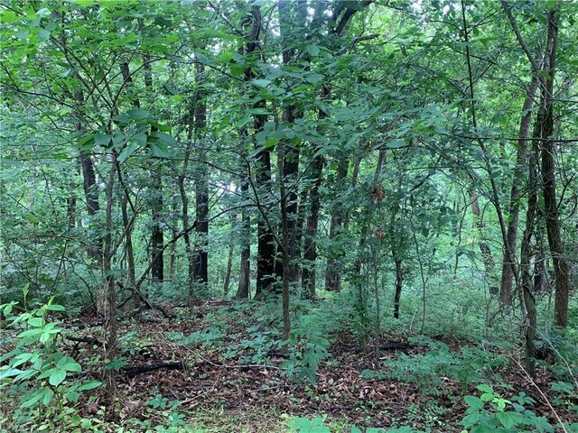 LOT14 Millsap Cir, Bella Vista, AR 72715
