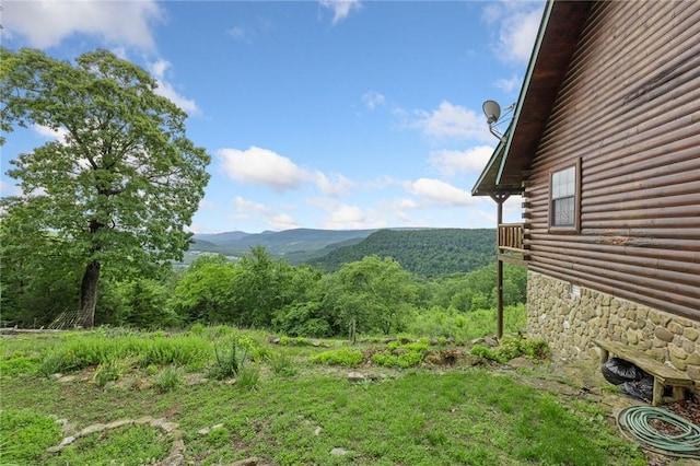 10323 Ar 7, Jasper, AR 72641 - photo 45