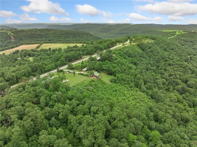 10323 Ar 7, Jasper, AR 72641 - photo 50