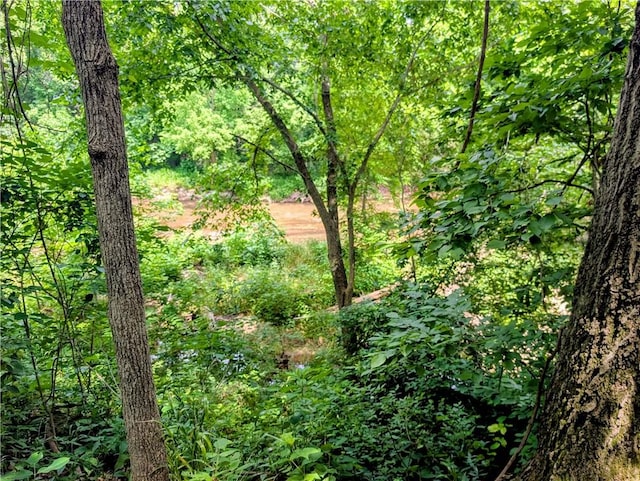 208 Mc 6087, Yellville, AR 72687 - photo 32