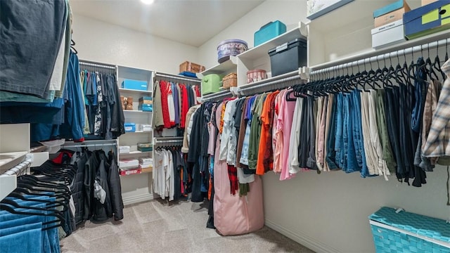 809 Ravine St, Cave Springs, AR 72718 - spacious closet with carpet floors