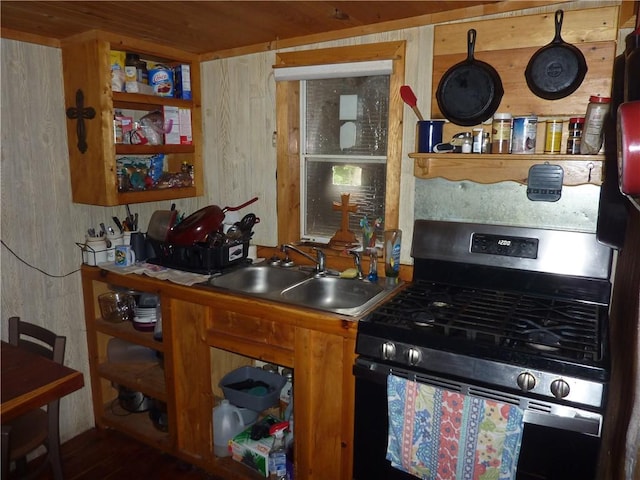 396 Dawn Light Dr, Western Grove, AR 72675 - kitchen featuring stainless steel gas range oven, a sink, and wood finished floors
