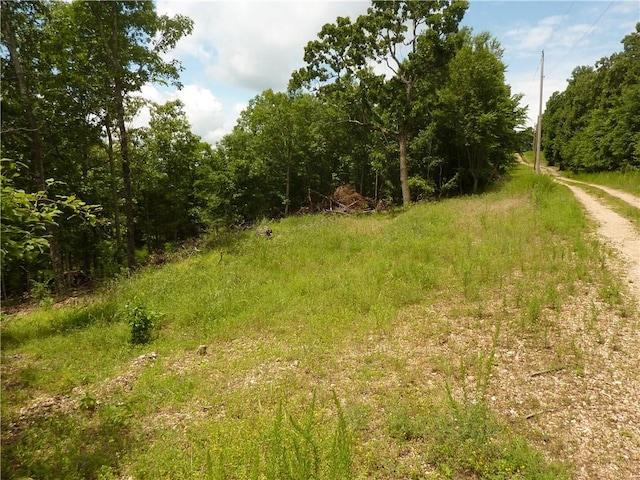 396 Dawn Light Dr, Western Grove, AR 72675 - view of local wilderness