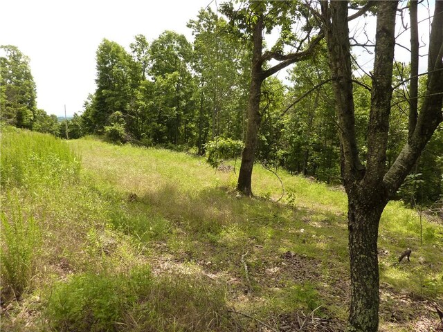 396 Dawn Light Dr, Western Grove, AR 72675 - view of tree filled area