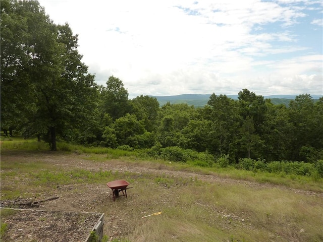 396 Dawn Light Dr, Western Grove, AR 72675 - view of yard
