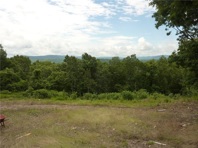 396 Dawn Light Dr, Western Grove, AR 72675 - view of tree filled area
