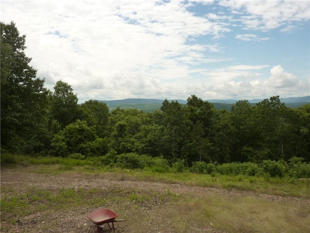 396 Dawn Light Dr, Western Grove, AR 72675 - mountain view with a forest