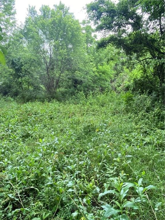 11384 Old Cincinnati Rd, Lincoln, AR 72744 - photo 2