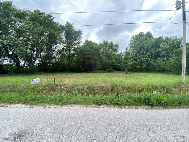 11384 Old Cincinnati Rd, Lincoln, AR 72744 - photo 4