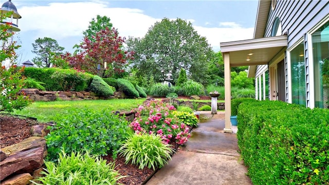 811 E Township St, Fayetteville, AR 72703 - view of yard