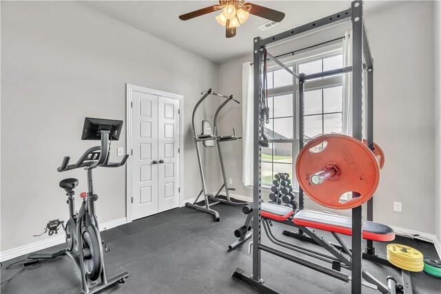 1461 Colonel Mcneil Dr, Prairie Grove, AR 72753 - exercise area with a ceiling fan, plenty of natural light, and baseboards