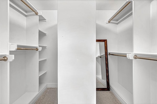 4801 SW Golden Eagle Ave, Bentonville, AR 72713 - view of spacious closet