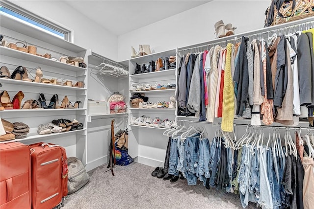 1140 Durante St, Tontitown, AR 72762 - walk in closet with carpet