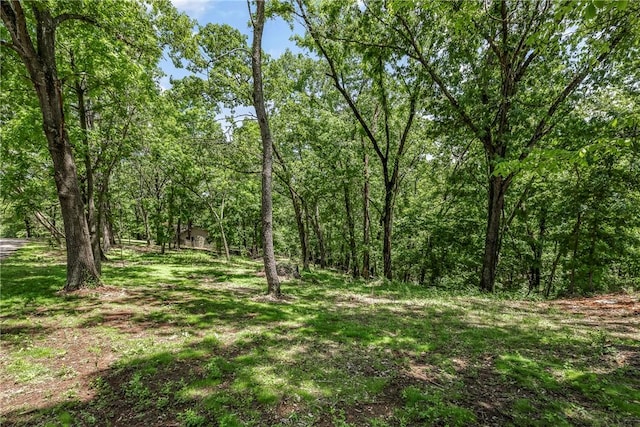 112 E Woodside Ln, Rogers, AR 72756 - photo 43