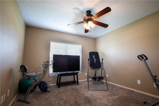602 E Kara Ln, Rogers, AR 72758 - miscellaneous room featuring ceiling fan, carpet flooring, baseboards, and a textured ceiling