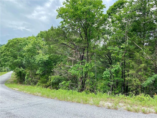 35 Sunrise Ave Unit Unit4-1-3, Holiday Island, AR 72631